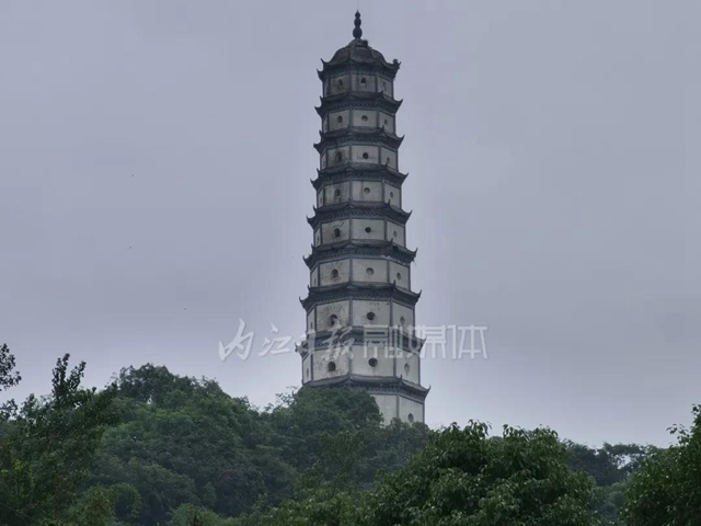 川南最大城市山地公园！爱了，这个属于内江人的“城市绿肺”(图5)
