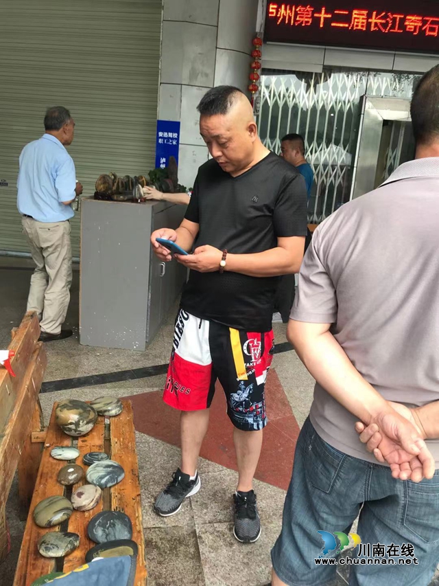 泸州市第十二届长江奇石文化节圆满结束(图7)