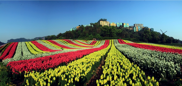 省级乡村旅游重点镇（乡）、村建议名单公示，泸州这些村入选！(图2)