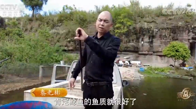 央视揭秘：内江资中鲶鱼为何如此神奇(图2)