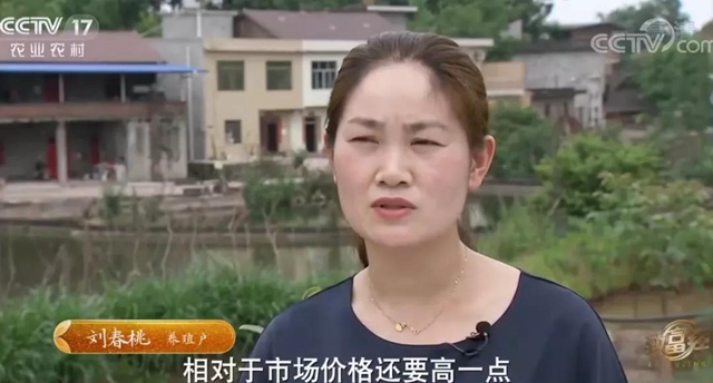 央视揭秘：内江资中鲶鱼为何如此神奇(图6)