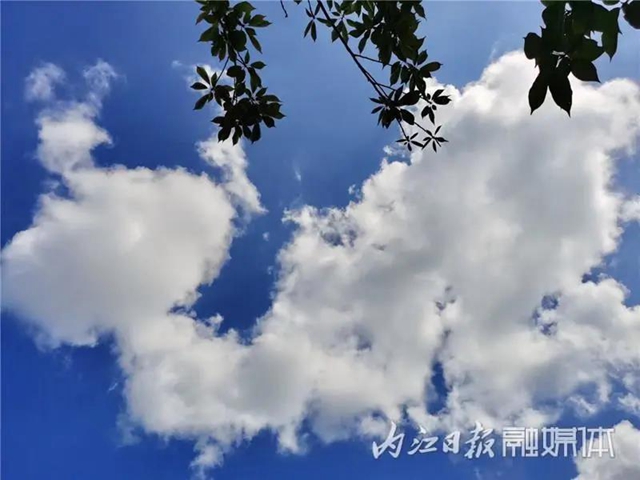 醉了！它刷爆了内江人的朋友圈(图7)