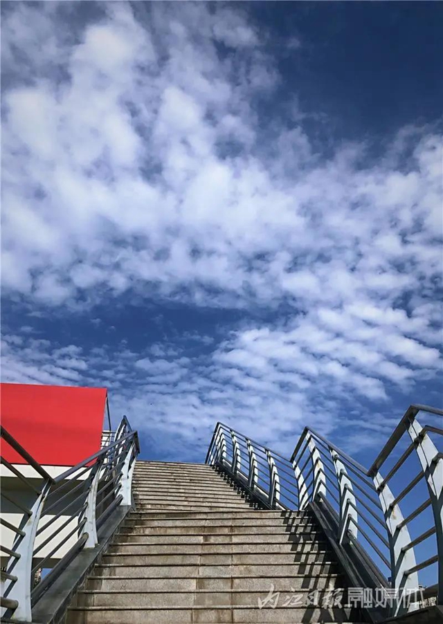 醉了！它刷爆了内江人的朋友圈(图11)