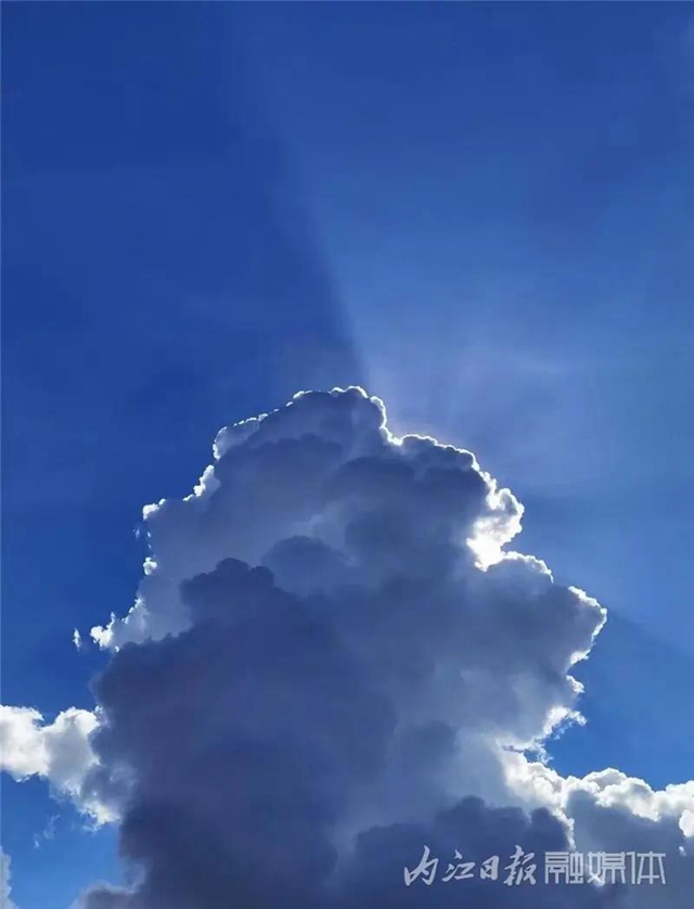 醉了！它刷爆了内江人的朋友圈(图10)