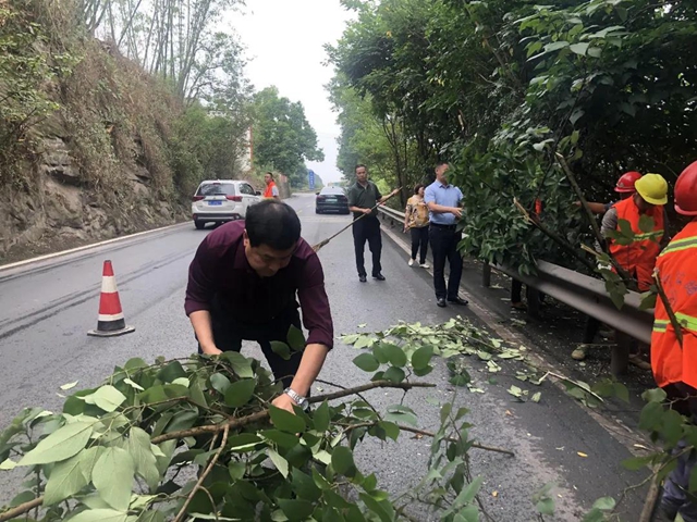 “喂——交通局吗?车子视野被路边树丫挡了,你们可以来处理不?”(图2) “喂——交通局吗?车子视野被路边树丫挡了,你们可以来处理不?”(图2)