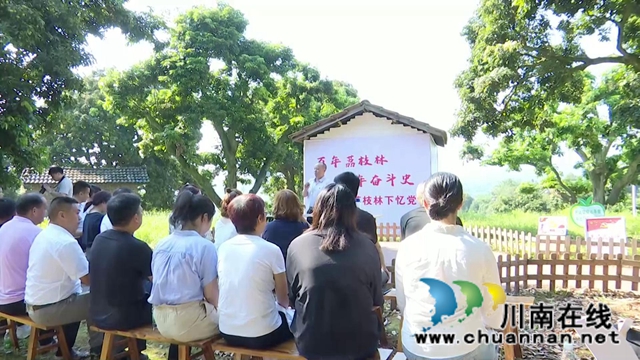 合江：百年荔枝林里忆百年党史(图2)