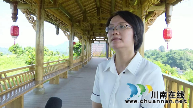 合江：百年荔枝林里忆百年党史(图5)