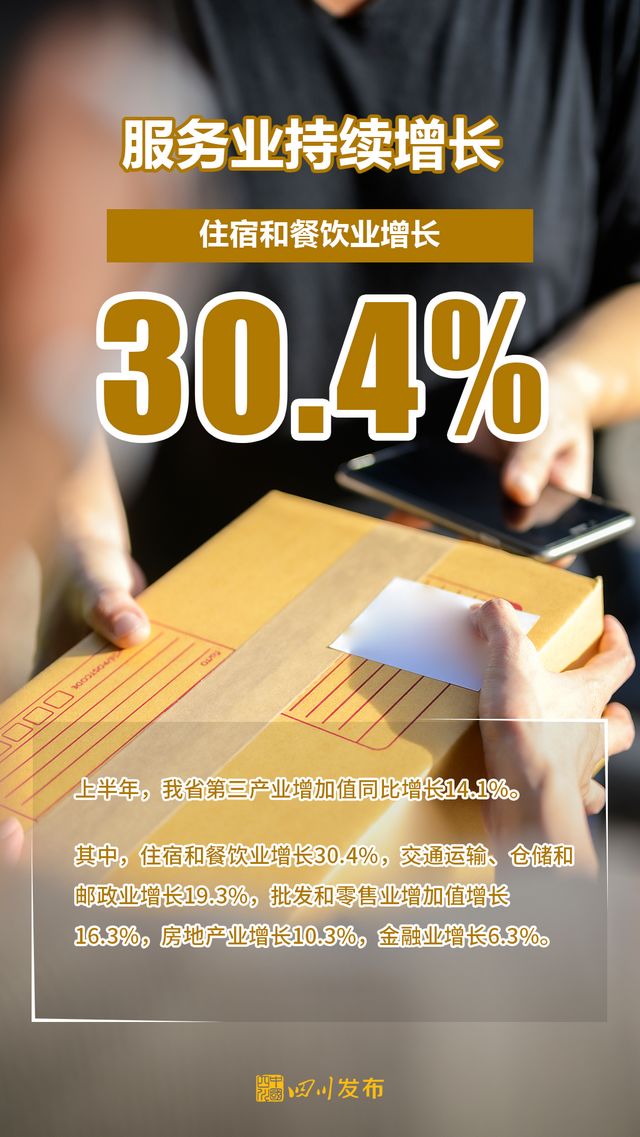 25232.39亿元！四川上半年经济成绩单出炉(图4)