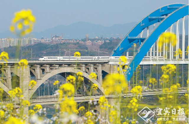 重磅！渝昆高铁宜宾至昆明段计划9月1日全线开工(图2)