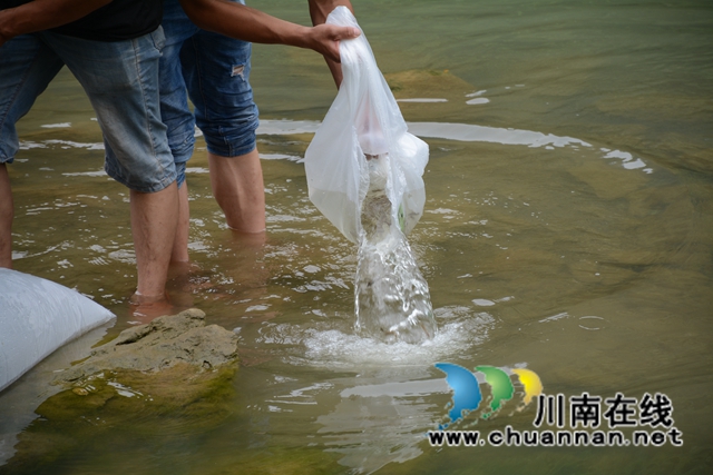 古蔺：非法捕捞水产品，四名被告获刑并进行补偿性增殖放流(图6)