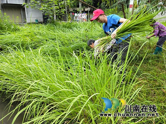 龙马潭区审计局开展“学史力行 助力国卫迎复审”为民办实事志愿服务活动(图3)