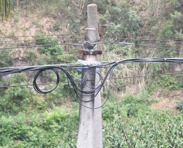 泸县男子泄私愤一把火烧掉70万!刑拘!(图2) 泸县男子泄私愤一把火烧掉70万!刑拘!(图2)