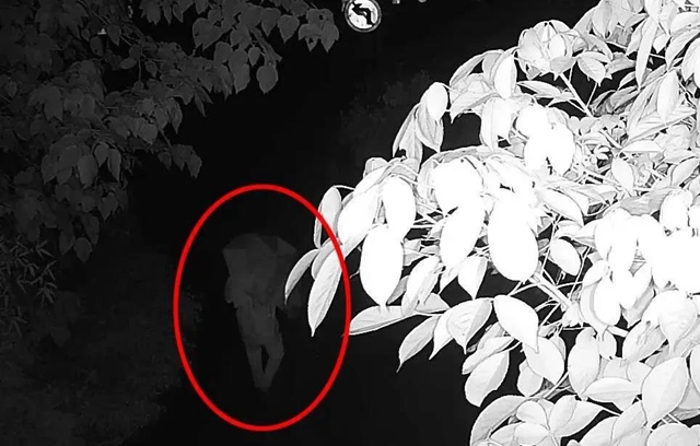 泸县男子泄私愤一把火烧掉70万!刑拘!(图4) 泸县男子泄私愤一把火烧掉70万!刑拘!(图4)