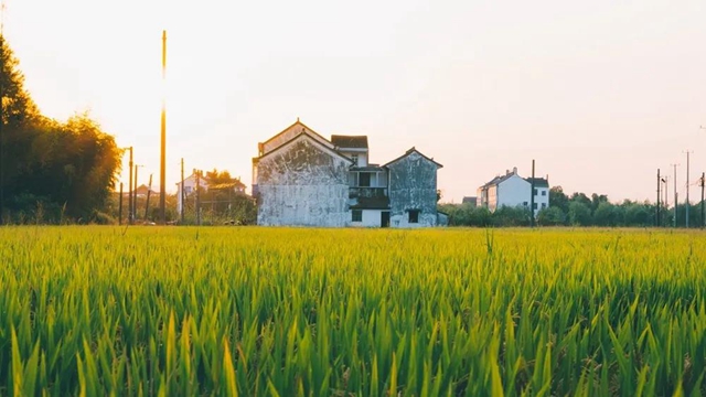 泸州2021年农村危房改造启动,最高补贴2.5万元(图1) 泸州2021年农村危房改造启动,最高补贴2.5万元(图1)