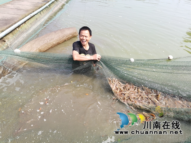 泸县方洞镇：大头虾初长成，放钓上市生意好(图3)