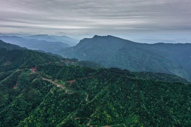 叙永:隐秘在一片绿意之中的四坪村,美到不动声色!(图1) 叙永:隐秘在一片绿意之中的四坪村,美到不动声色!(图1)