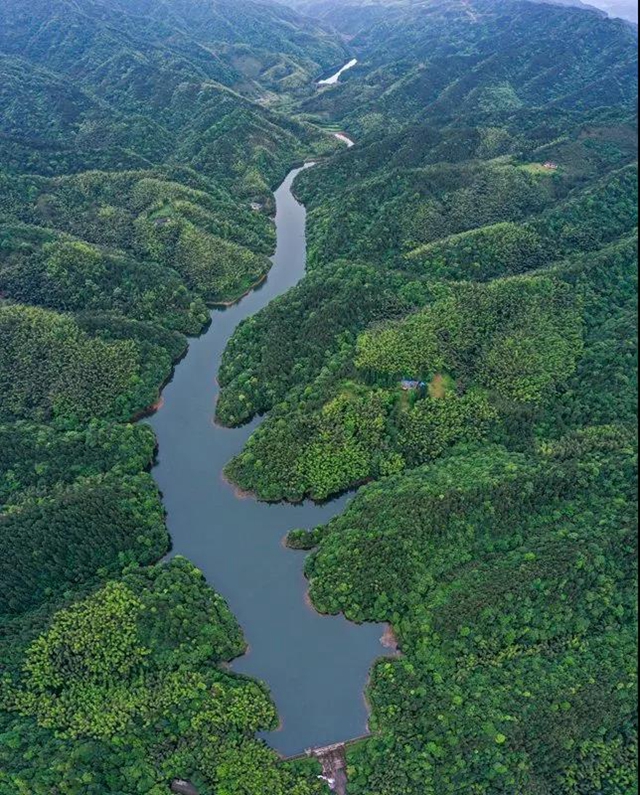 叙永:隐秘在一片绿意之中的四坪村,美到不动声色!(图4) 叙永:隐秘在一片绿意之中的四坪村,美到不动声色!(图4)