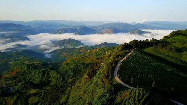 农业农村部点名！宜宾这个地方获推介(图4)