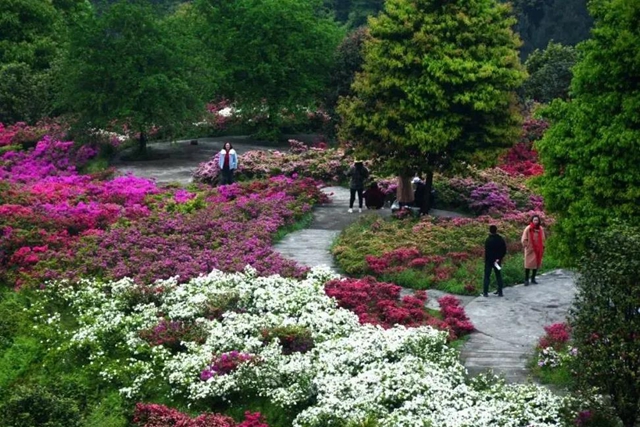 农业农村部点名！宜宾这个地方获推介(图6)