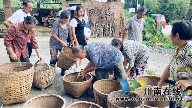 隆昌亚鑫农业有限公司助力乡村振兴发展，向家乡捐赠鸡苗上万只(图5)