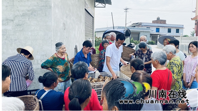 隆昌亚鑫农业有限公司助力乡村振兴发展,向家乡捐赠鸡苗上万只(图6) 隆昌亚鑫农业有限公司助力乡村振兴发展,向家乡捐赠鸡苗上万只(图6)