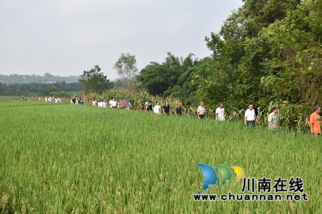 泸州民盟“科技助农”活动走进泸县牛滩镇(图3)