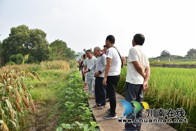 泸州民盟“科技助农”活动走进泸县牛滩镇(图2)