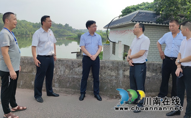 陈枫率队督导泸县海潮河河长制工作(图1)