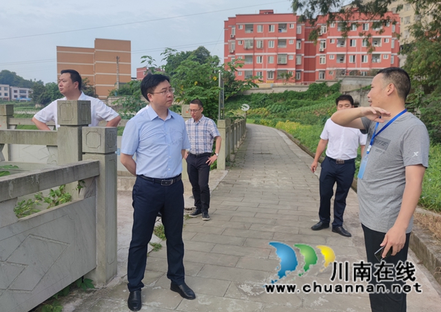 陈枫率队督导泸县海潮河河长制工作(图5)