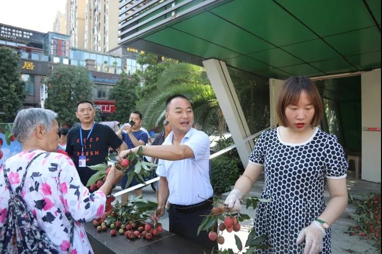 合江荔枝品鉴:摘下幸福果,共尝荔枝甜(图2) 合江荔枝品鉴:摘下幸福果,共尝荔枝甜(图2)