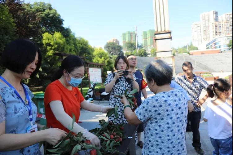 合江荔枝品鉴:摘下幸福果,共尝荔枝甜(图3) 合江荔枝品鉴:摘下幸福果,共尝荔枝甜(图3)