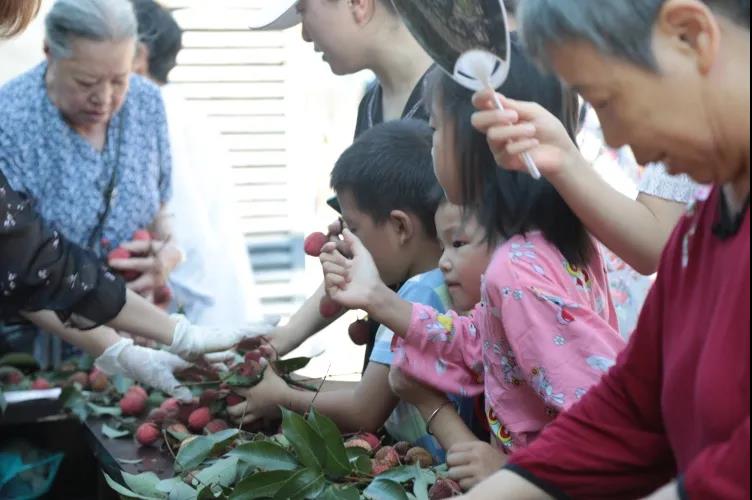 合江荔枝品鉴:摘下幸福果,共尝荔枝甜(图8) 合江荔枝品鉴:摘下幸福果,共尝荔枝甜(图8)