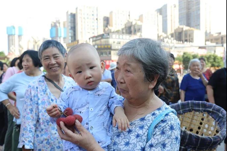 合江荔枝品鉴:摘下幸福果,共尝荔枝甜(图9) 合江荔枝品鉴:摘下幸福果,共尝荔枝甜(图9)
