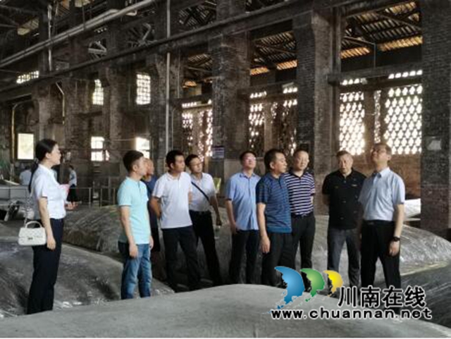 王毅一行调研龙马潭区小市街道汛期文物安全(图1)