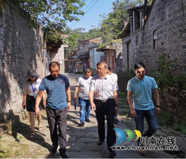 王毅一行调研龙马潭区小市街道汛期文物安全(图2)