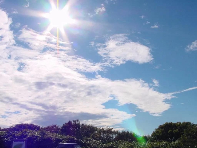 泸州发布高温黄色预警！局部气温可达40℃！(图1)