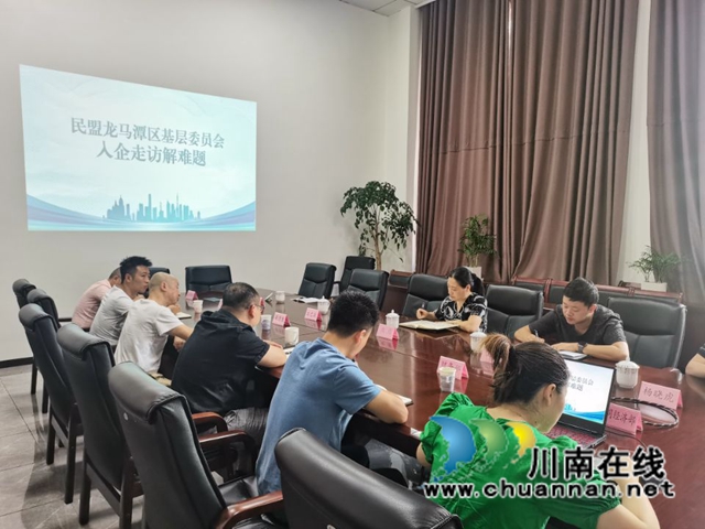 民盟泸州市龙马潭区基层委员会：入企走访解难题(图1)