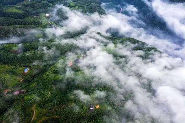 避暑纳凉去哪里？叙永这些“避暑胜地”给你一个清凉之夏！(图12)