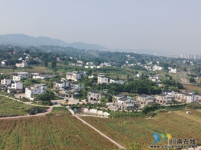 泸县：园区带动全县酿酒高粱快速发展(图8)