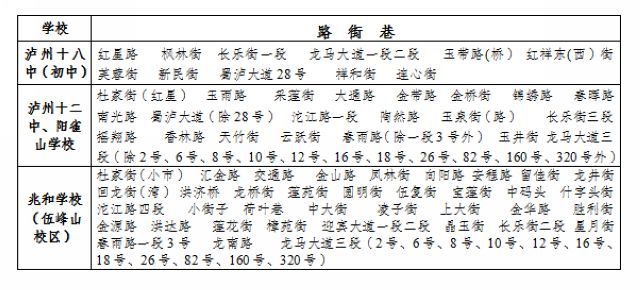 重磅!龙马潭区主城区购房类招生划片公告发布(图2)