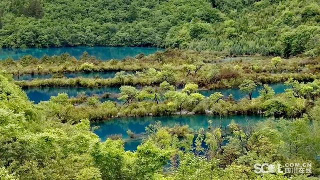 速看！四川多家景区发布疫情防控新措施(图1)