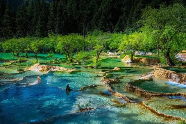 速看！四川多家景区发布疫情防控新措施(图2)