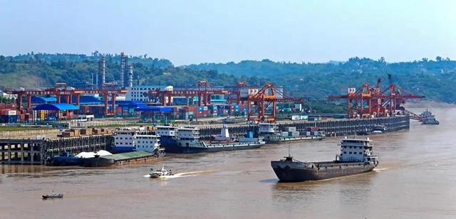 自贸区川南临港片区半年成绩单(图7)