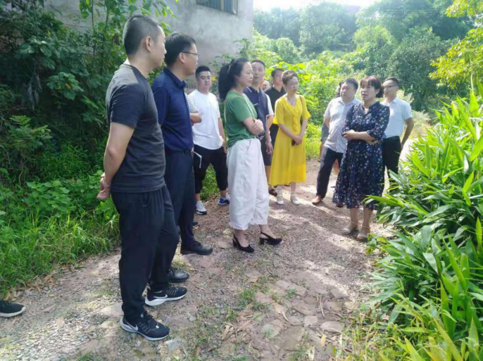 纳溪区提前完成隆黄铁路纳溪段护国隧道出口和进场施工便道开工点交地工作(图1)