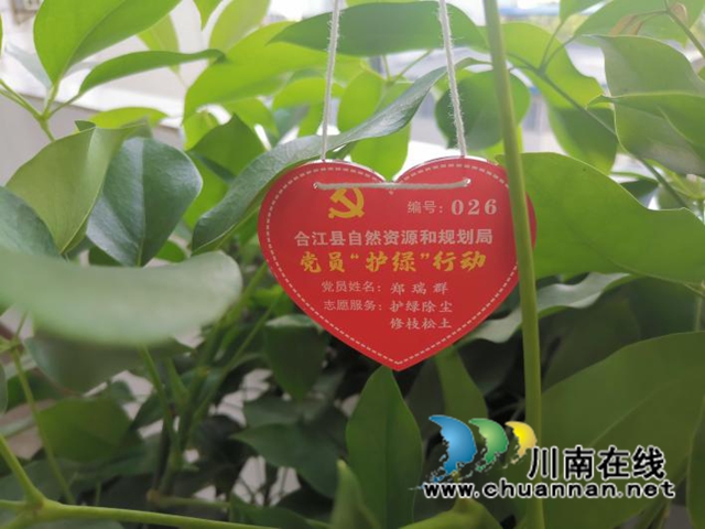 合江县自然资源和规划局组织开展党员“办公区护绿志愿行动”(图2)