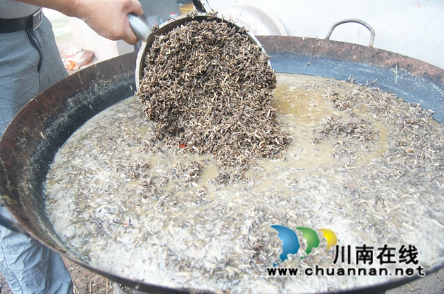 喂虫子，体验卖……纳溪这个农民养鸡增收有两手！(图1)