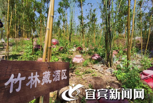 全国乡村旅游重点村镇名单公示!宜宾这个村上榜(图3) 全国乡村旅游重点村镇名单公示!宜宾这个村上榜(图3)