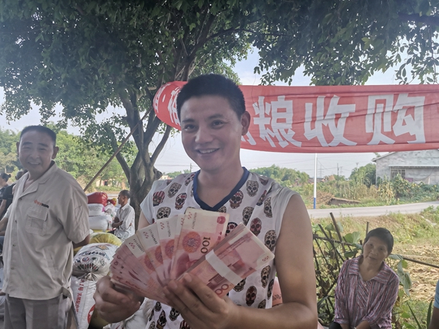 订单种植　泸县方洞镇万亩酿酒高粱收入1600万元！(图4)
