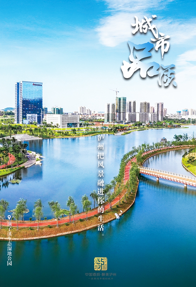 9张海报告诉你，泸州将变成这样一座城市！(图7)