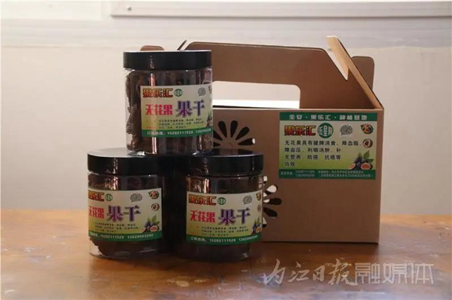 都熟啦！内江这里，有一大片无花果林(图2)